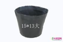 营养杯（营养钵）